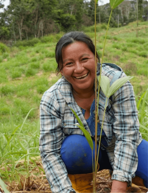 A restoration worker planting a young seedling