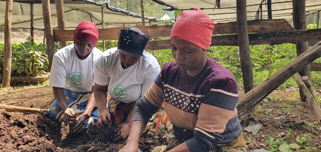 Replanting the burnt Mkussu Forest