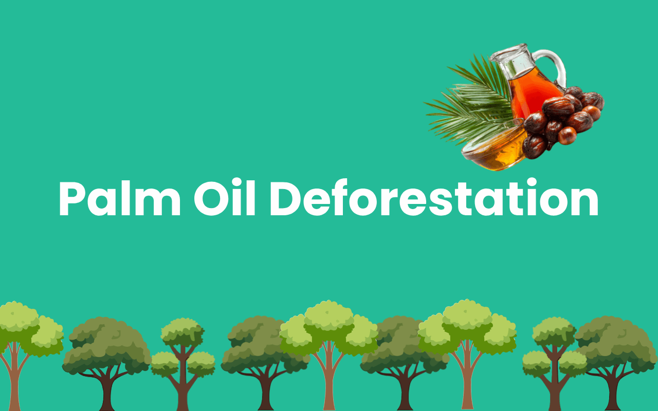 Palm Oil Deforestation: The Hidden Environmental Crisis Behind Everyday Products